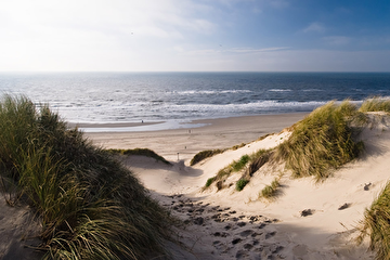 nederlandsezeemetduinen