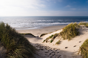 nederlandsezeemetduinen