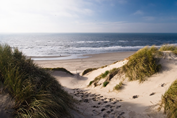 nederlandsezeemetduinen