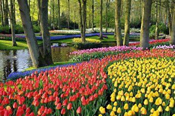 achtergrondfotokeukenhof